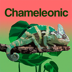 chameleonic menu.png